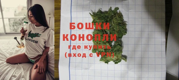 дживик Верхний Тагил