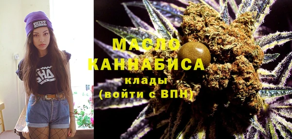 дживик Верхний Тагил