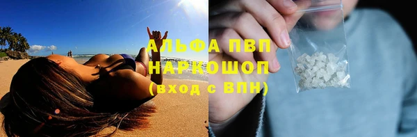 трава Бородино