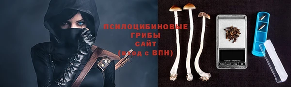 дживик Верхний Тагил