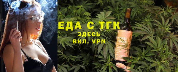 дживик Верхний Тагил